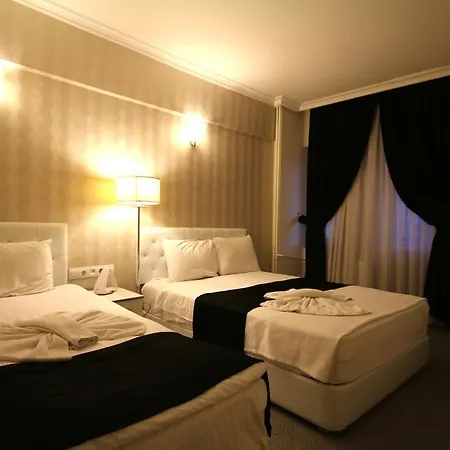 Demasus Hotel 4*